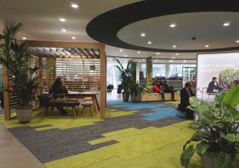 The Biophilic Office – Putting People First
