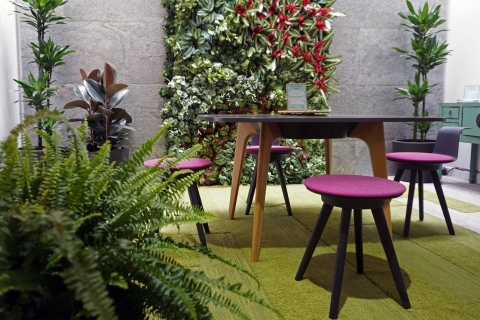 Interface Champions the Biophilic Office