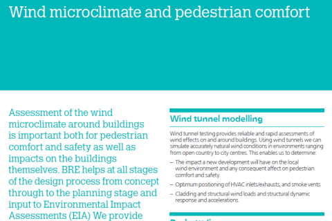 Wind microclimate and pedestrian comfort