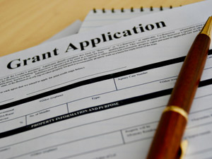 Grant Application form image
