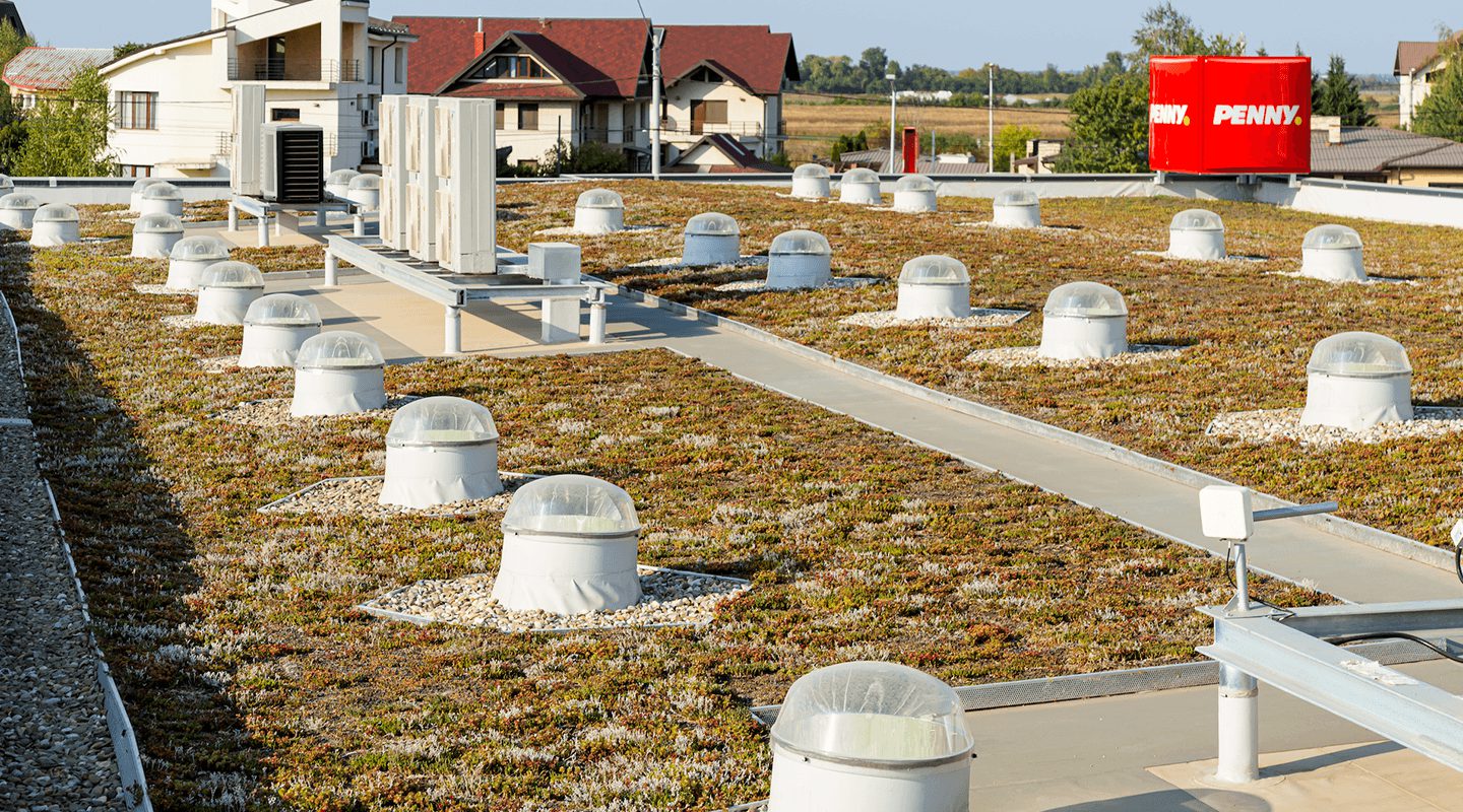 Penny supermarket roof