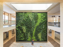 Green wall in building, BREEAM biodiversity