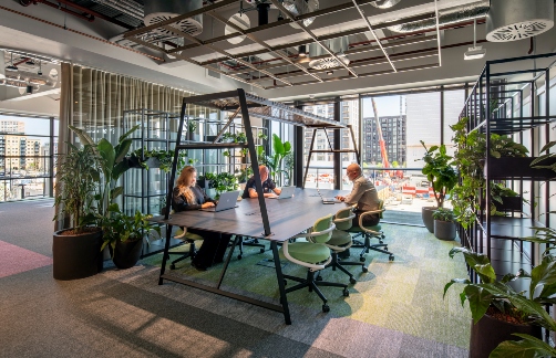 Three people sit at a desk in a modern office interior filled with lots of flora